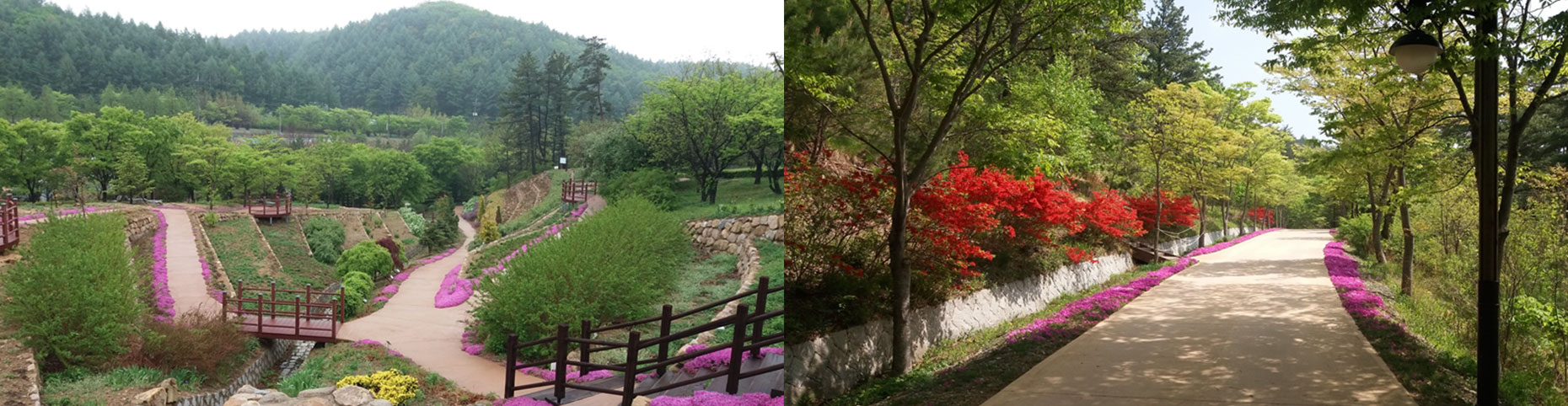 관광지이미지